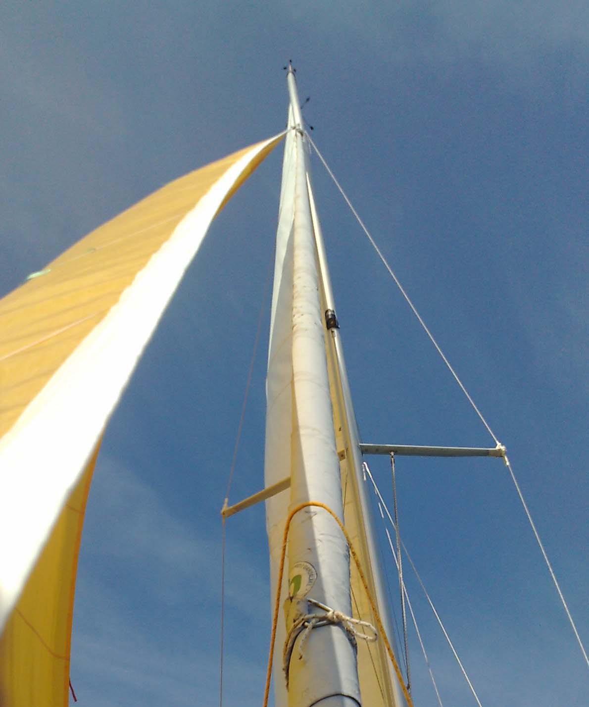 [Immagine: 20098118825_ceten 2.jpg]